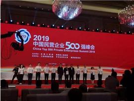 駱駝,奧迪,長安,大眾,福特