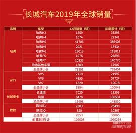 長城,哈弗,歐拉,哈弗H6,炮