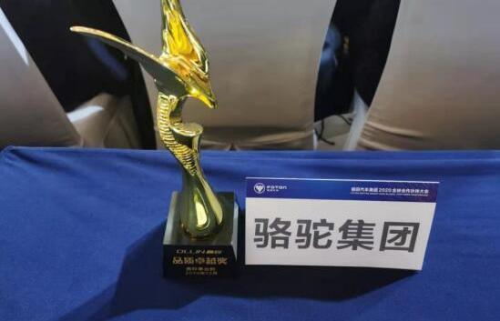 駱駝,速騰,東風,東南,一汽