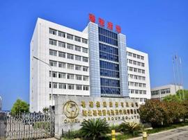 駱駝,速騰,東風,東南,一汽