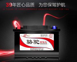 駱駝,發現