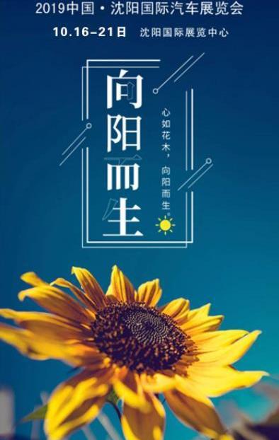豐田,一汽,亞洲龍,卡羅拉,RAV4榮放