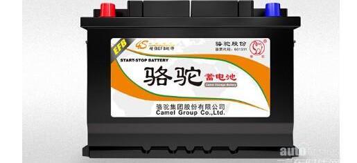 駱駝,北京,大眾,奧迪,帕薩特