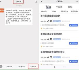 奧迪,大眾,廣汽傳祺,東風,斑馬