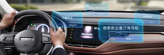 哈弗,遠程