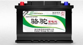 駱駝,奧迪,奔馳,寶馬,世紀