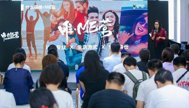 歐拉,長城,大眾,鋼鐵俠,遠程