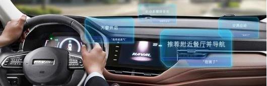 哈弗,遠程,海鷗,發現