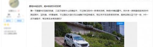 哈弗,哈弗H9,小老虎,寶馬,哈弗H6