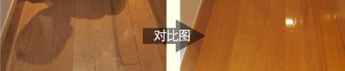 發現