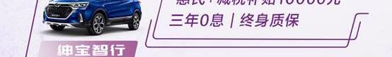 理念,漢