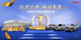 長城,風駿5,風駿7,東風,東南