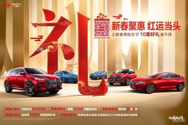 比亞迪,炮