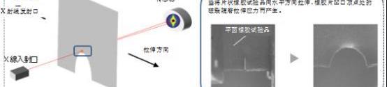 理念,發現