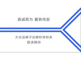 大眾,發現