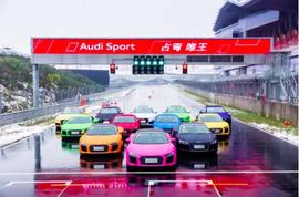 奧迪,奧迪RS 7,奧迪R8,發現
