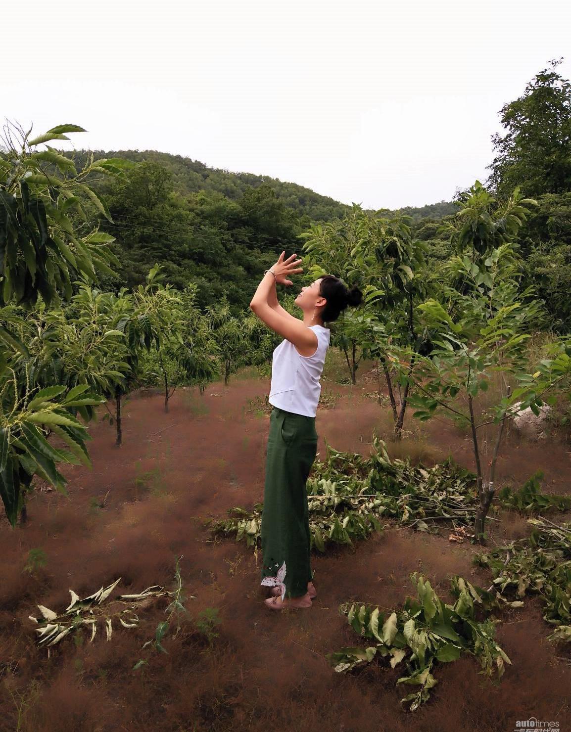 長城,威馳