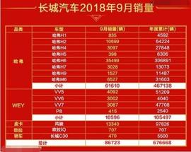 長城,歐拉,哈弗,寶馬,大眾