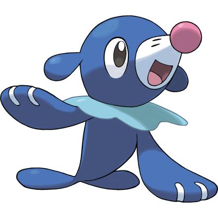小海獅